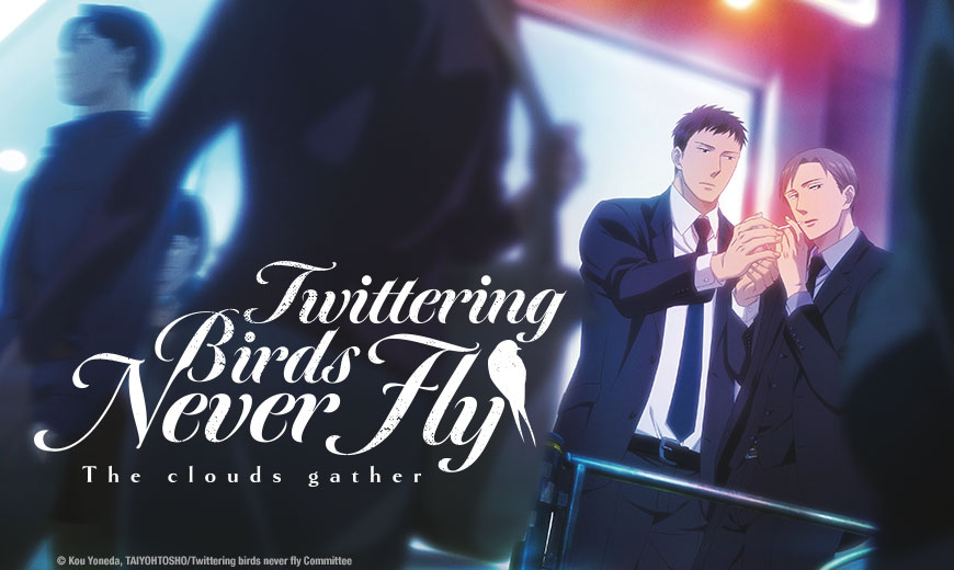 twittering birds never fly